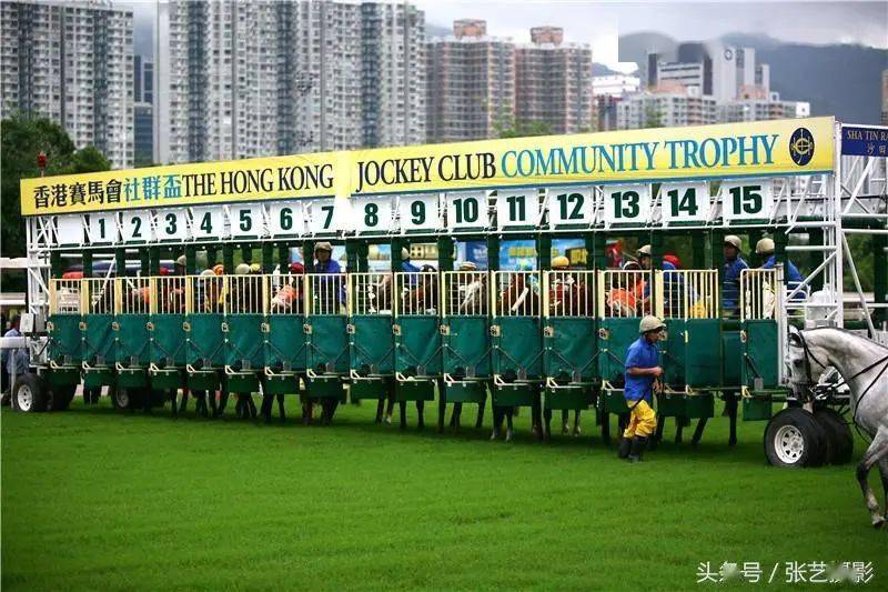 香港特馬資料王中王，揭秘香港賽馬文化的瑰寶