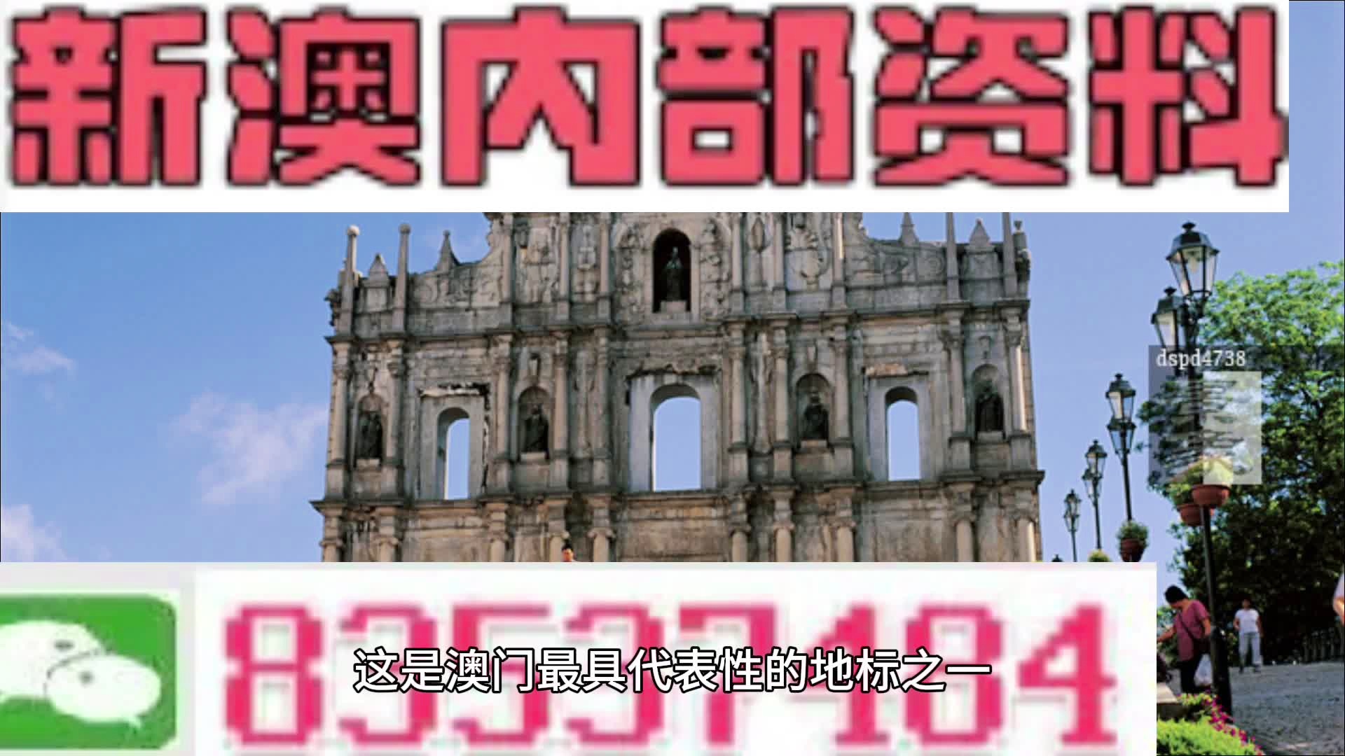 新澳2024正版資料免費公開，探索與啟示