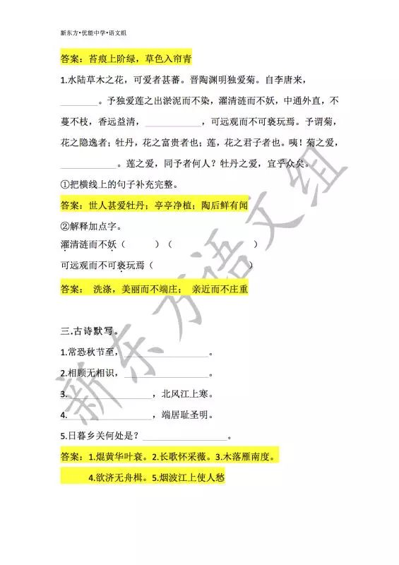 澳門一碼一肖一特一中，合法性的探討與解析