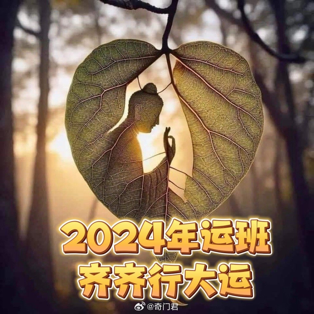 探索未來(lái)幸運(yùn)之門，2024年一肖一碼一中