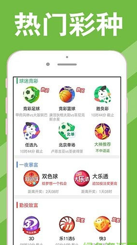 新澳天天開獎資料大全第262期詳解