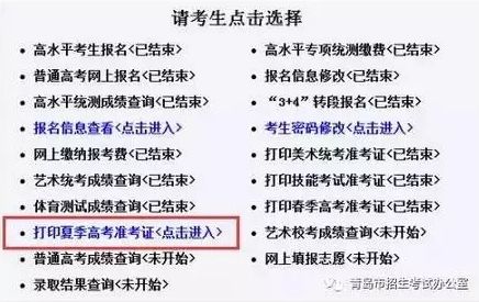 澳門一碼一肖一特一中，合法性的探討與解析