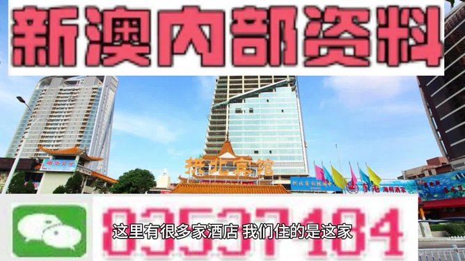 探索與分享，2024新澳正版免費資料的魅力與價值