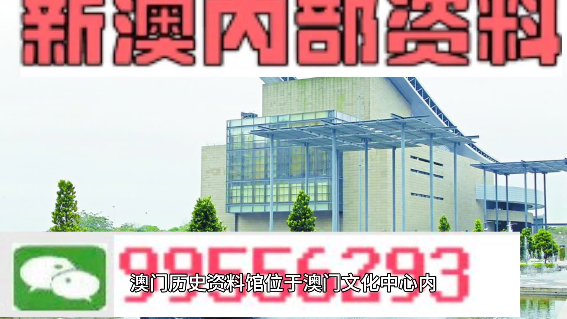 新澳門資料大全正版資料與奧利奧，探索與體驗