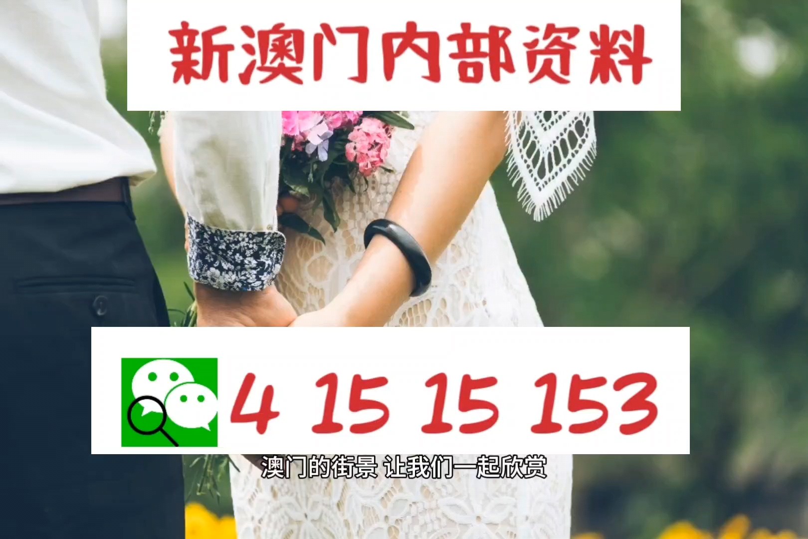 新澳2024今晚開獎(jiǎng)資料四不像，深度分析與預(yù)測