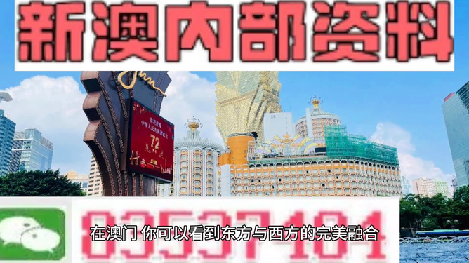 新澳2024正版資料免費(fèi)公開，探索與啟示
