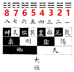 探究數(shù)字組合背后的秘密，王中王中特與數(shù)字7777788888的神秘聯(lián)系