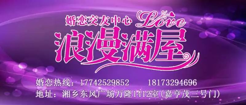 澳門王中王，探尋數(shù)字背后的故事與期待