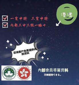 最準一肖一碼一一香港澳王一王，揭秘背后的秘密與真相