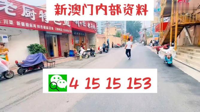 2004新澳門天天開好彩——繁榮與活力的象征
