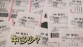 探索新澳門天天開獎免費(fèi)查詢系統(tǒng)，未來彩票的新紀(jì)元（2024年展望）